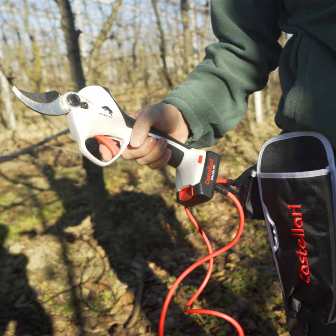 Castellari Ryno 63 električne makaze 